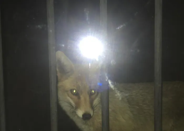 Masiadenjust Casa de Campo *