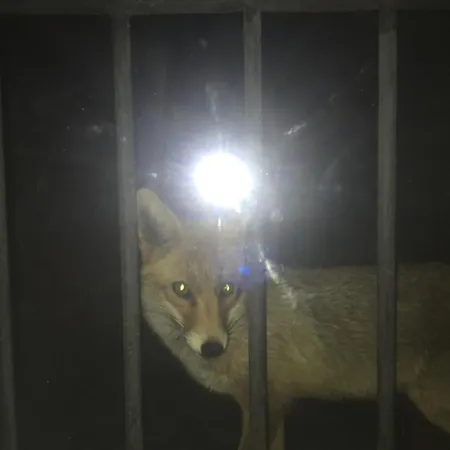 Masiadenjust Casa rural *