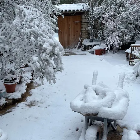 Masiadenjust * Rojals