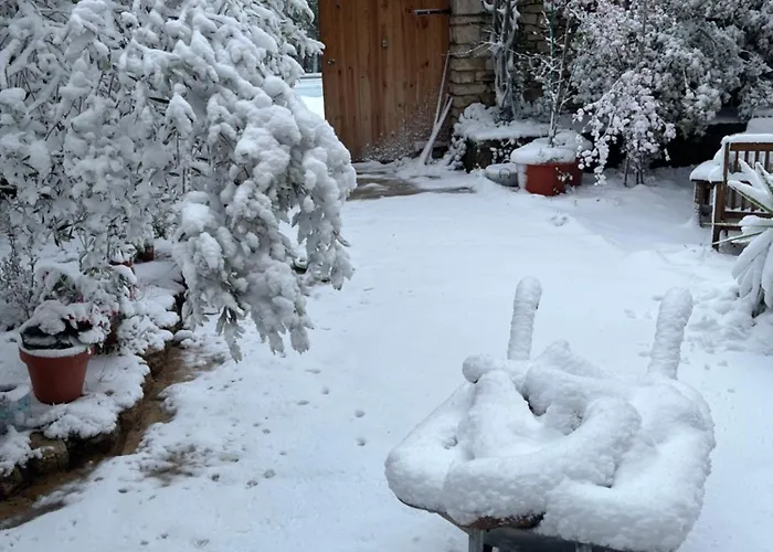 Masiadenjust * Rojals